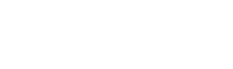 Polonia i Polacy za granicą