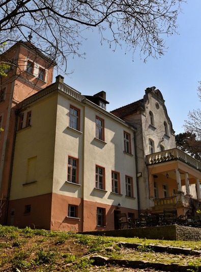 Pałac w Witosławiu
