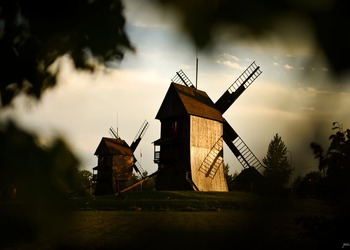 Muzeum Młynarstwa i Rolnictwa w Osiecznej