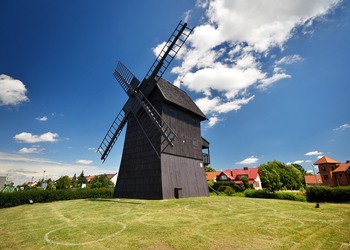 Wiatrak Józef w Rydzynie