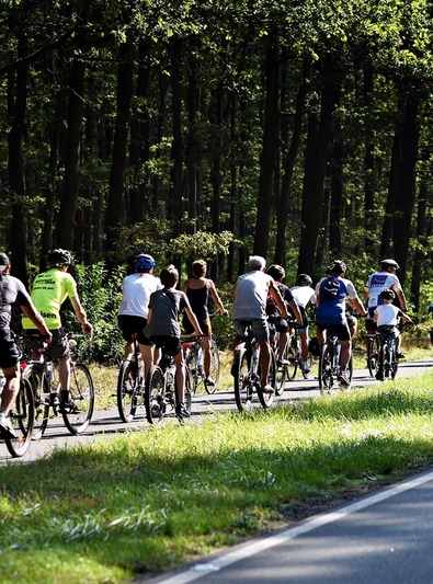 04. Od pałacu do zamku