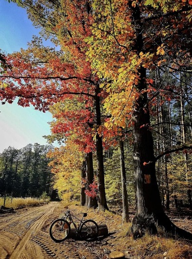 09. Wzdłuż lasów i jezior