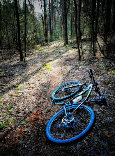 10. Osiecka Pętla Crossowa