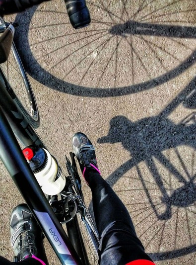 16. Wśród pól do Lipna