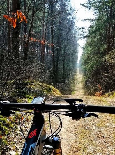 17. W stronę Bukowego Jaru