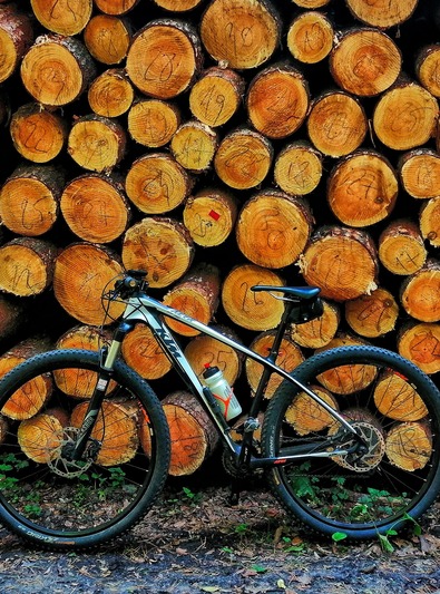 19. Wokół gminy Włoszakowice