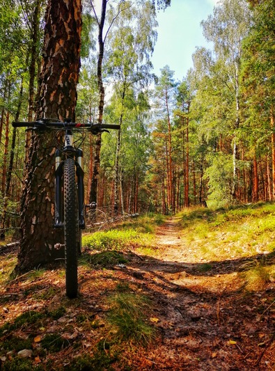 20. Jagodowo – Grzybowym szlakiem