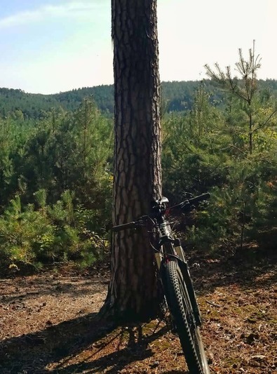 25. Pośród łąk i lasów