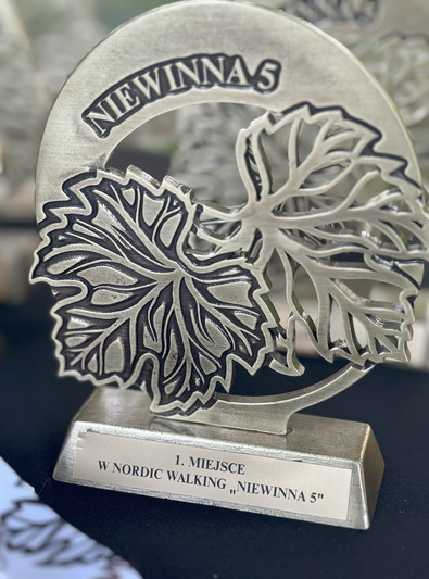 Bieg NIEWINNA 5