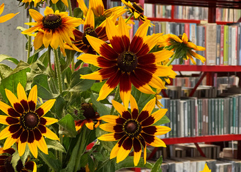 Zdjęcia: Magdalena Woźna