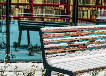 Zdjęcia: Magdalena Woźna